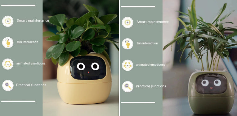 Smart Plant Pot That Keeps Your Greenery Smiling