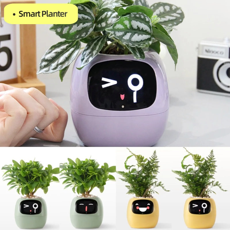 Smart Plant Pot That Keeps Your Greenery Smiling