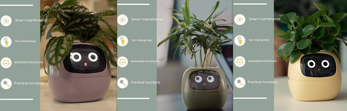 Smart Plant Pot That Keeps Your Greenery Smiling