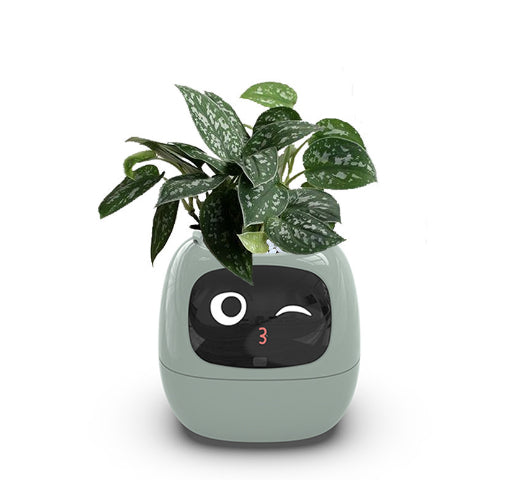 Smart Plant Pot That Keeps Your Greenery Smiling